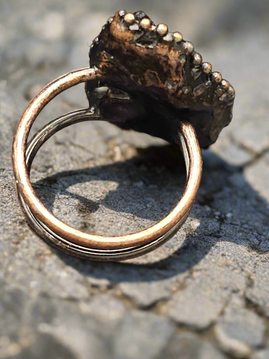 Adjustable Meteorite Ring